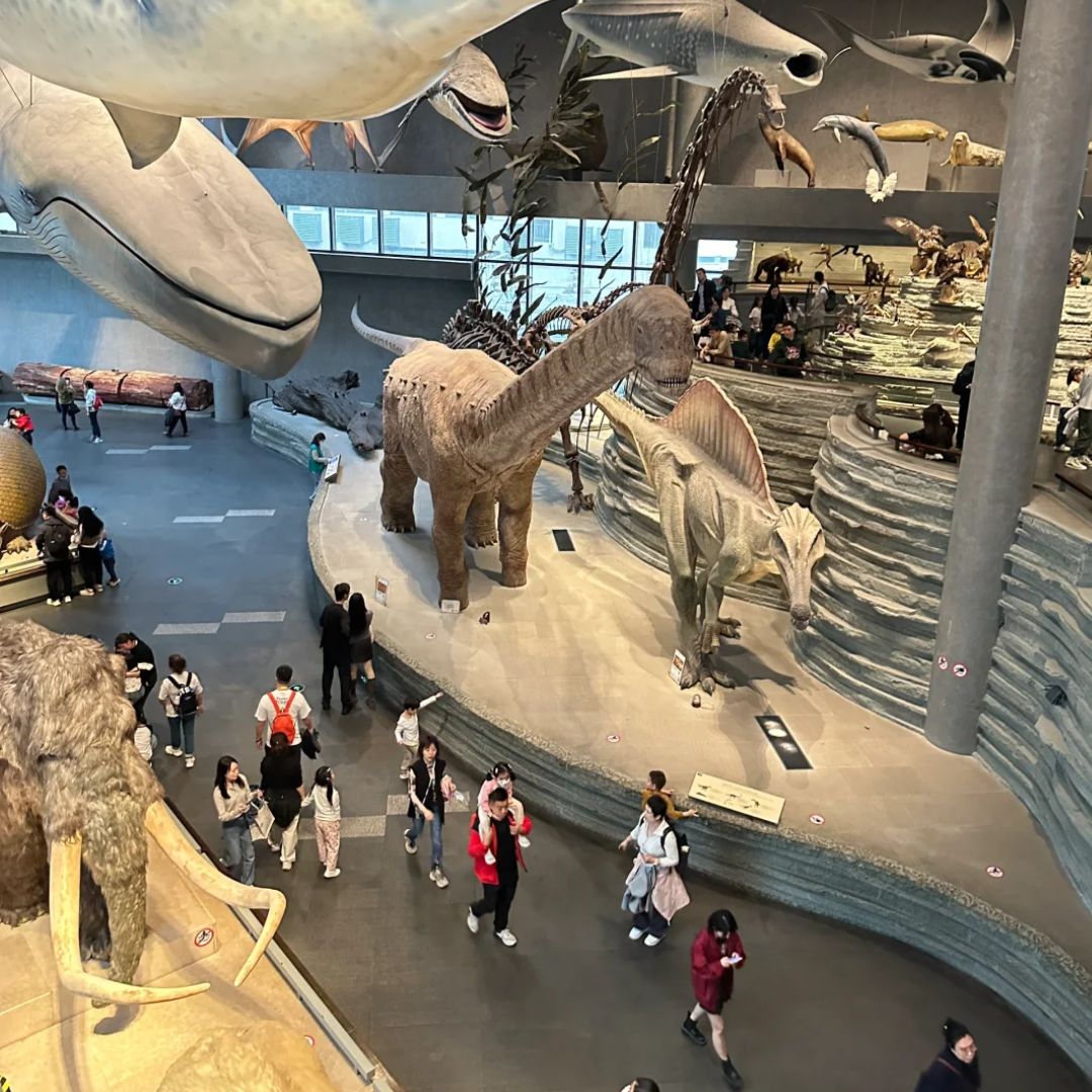 Beijing Museum of Natural History