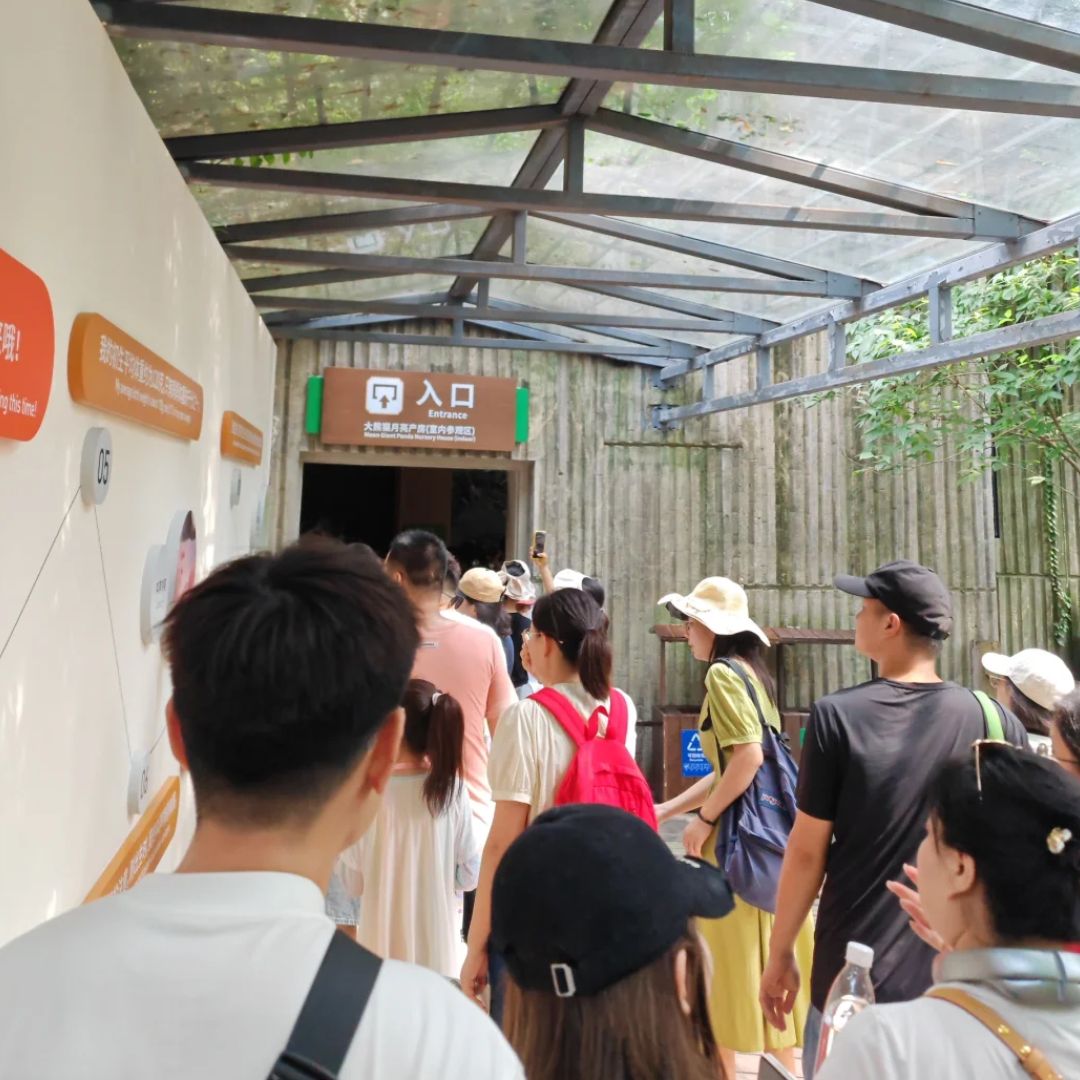 Chengdu Panda Base